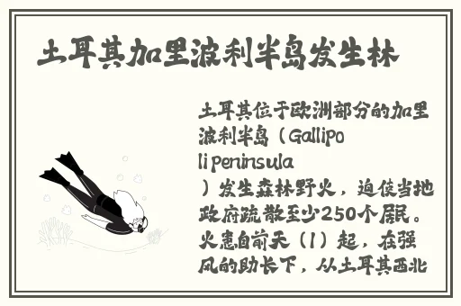 触手怪 进胡桃尿孔里